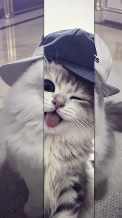 jj trend