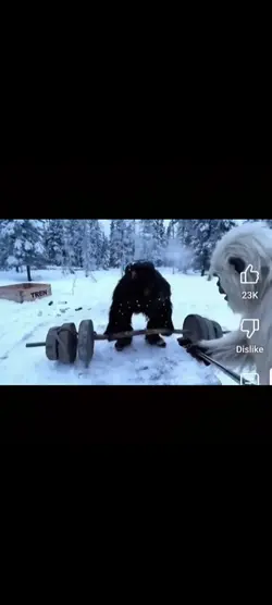 Yeti & Bigfoot
