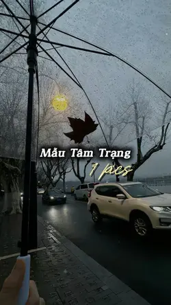 Con Đón Tết xa
