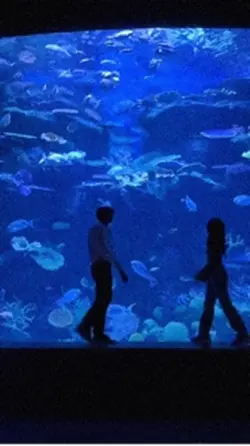 aquarium date 