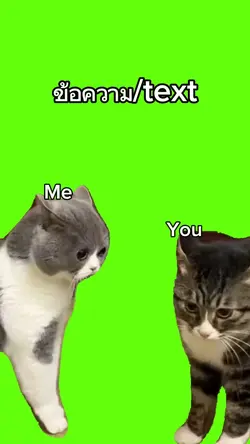 cats talk 
