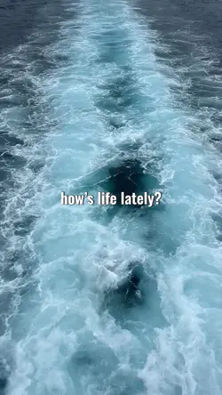 how’s life lately?