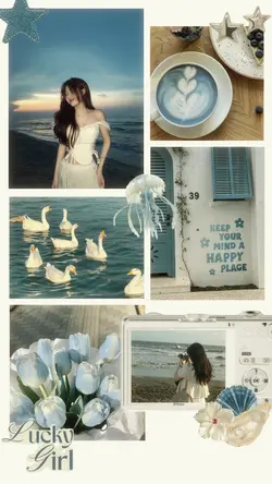 6 pict aesthetic