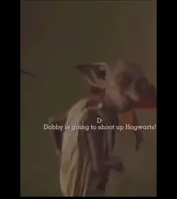 DANGG DOBBY EVIL!!