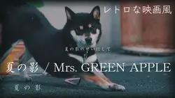 夏の影🍏