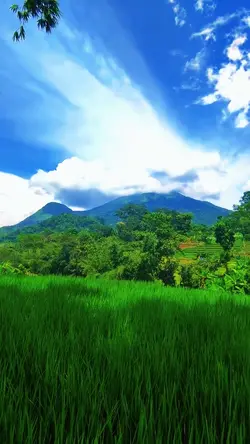 nature aesthetic