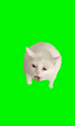 Cat gagging meme