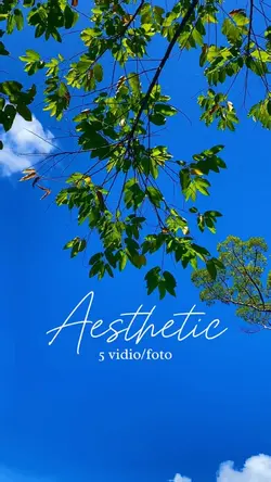 5 vidio aesthetic