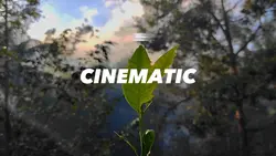 Aees cinematic