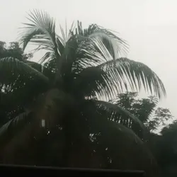 video edit 