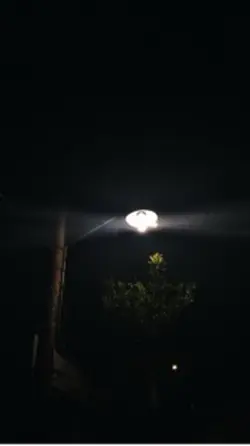 Selamat Malam