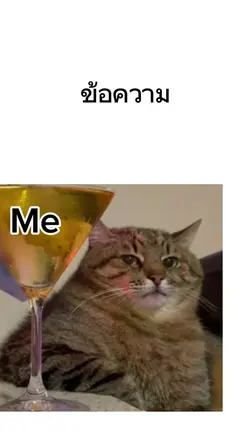 cat broken heart