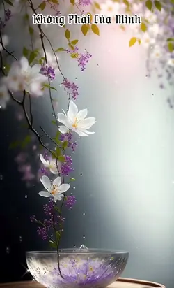 Ko phải của mình