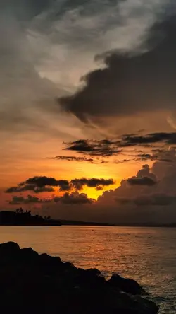 Siempre sola