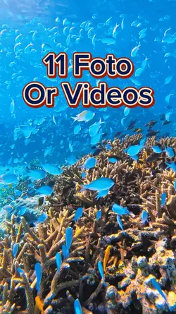 11 Foto Slides
