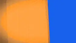 TRANSITION YELLOW