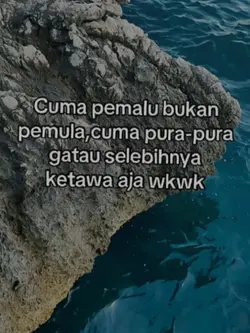 cuma pemula 