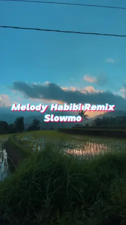 Habibi remix