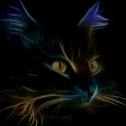 gatti