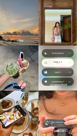 6 photos