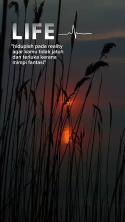 Reality of life 