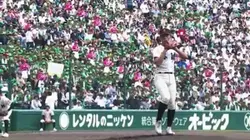 ティース