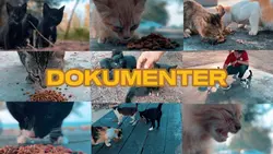 dokumenter