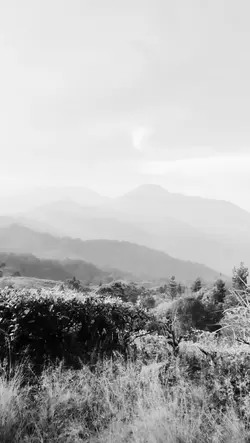 hitam putih