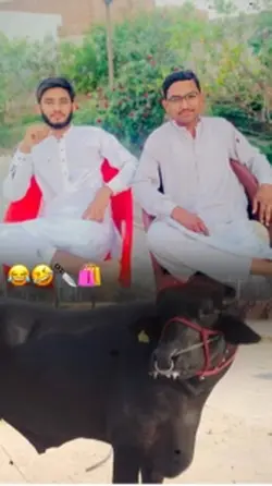 عیدالاضحی🐐😂