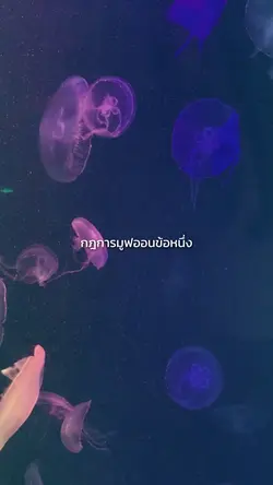 กฎการมูฟออน