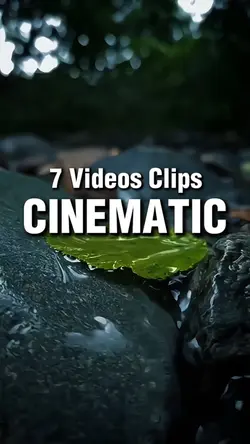 7 Videos Clips