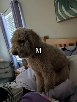 MOLLY!!