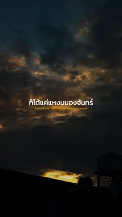 คืนที่หมาเต็มวัด