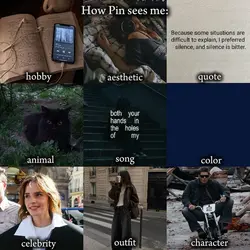 how pin sees me