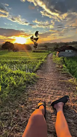 filter iphone