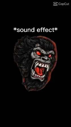 Sound effect