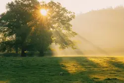 MỘT NGÀY NÀO ĐÓ 