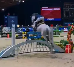Amazing save!!!