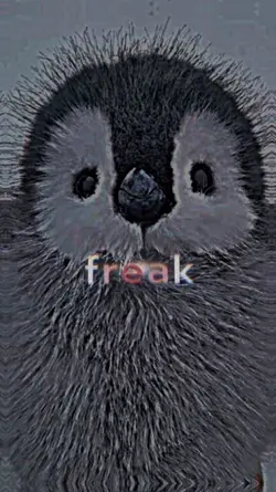 im just a Freak!