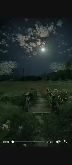 Họ cười tôi 