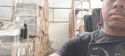 trampo