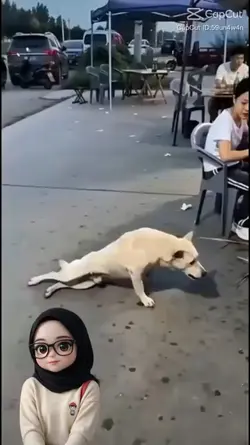 #humorbr