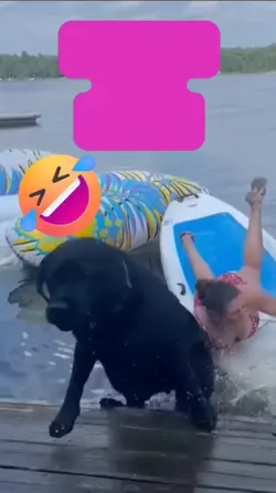 Paddle Board Dog