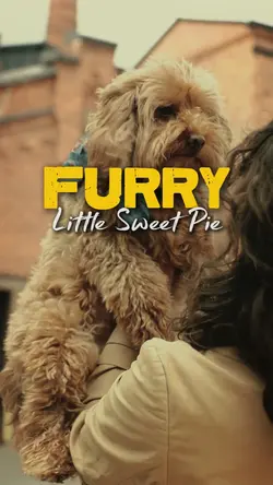 Little Sweet Pie