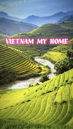 VIETNAM MY HOME
