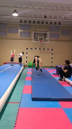 Gymnastic