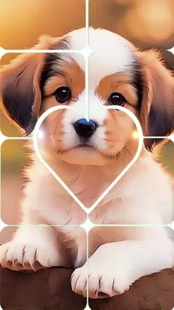 Cute Puppy
