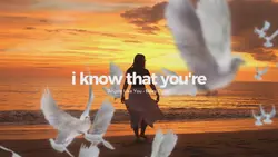 ANGELS LIKE YOU