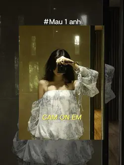 Mẫu 1 ảnh