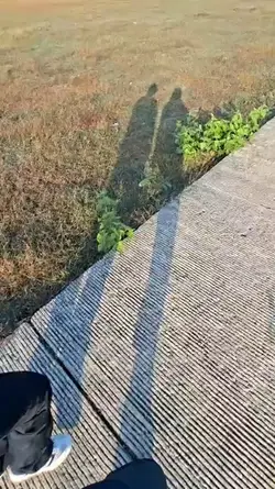Pelan Tapi Pasti 
